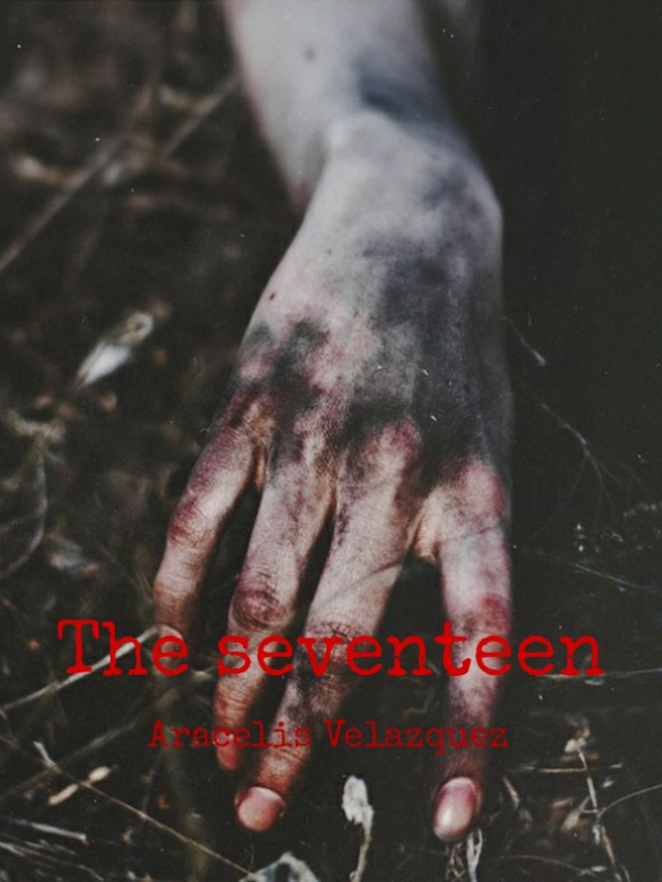 The Seventeen Book