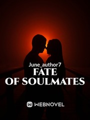 Fate of soulmates Book