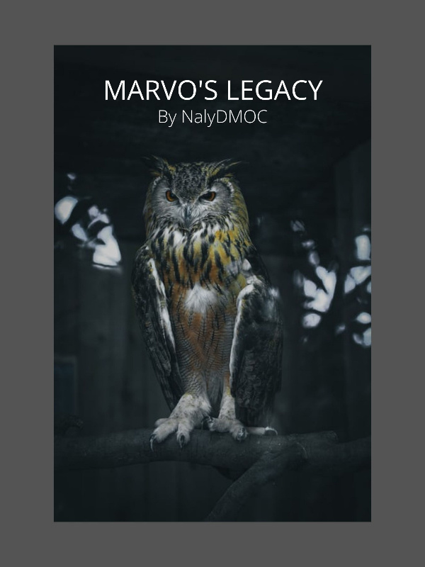 Marvo's Legacy Book