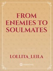 FROM ENEMIES TO SOULMATES Book