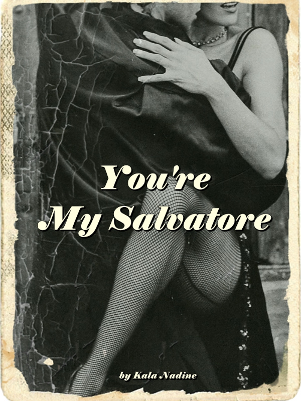 You're My Salvatore Book