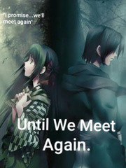 Promise: Until We Meet Again. Book