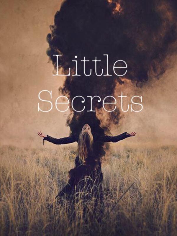 Little Secrets Book