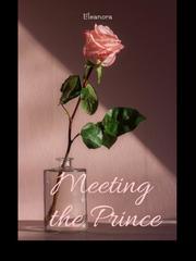 Meeting The Prince . Book 1 Book