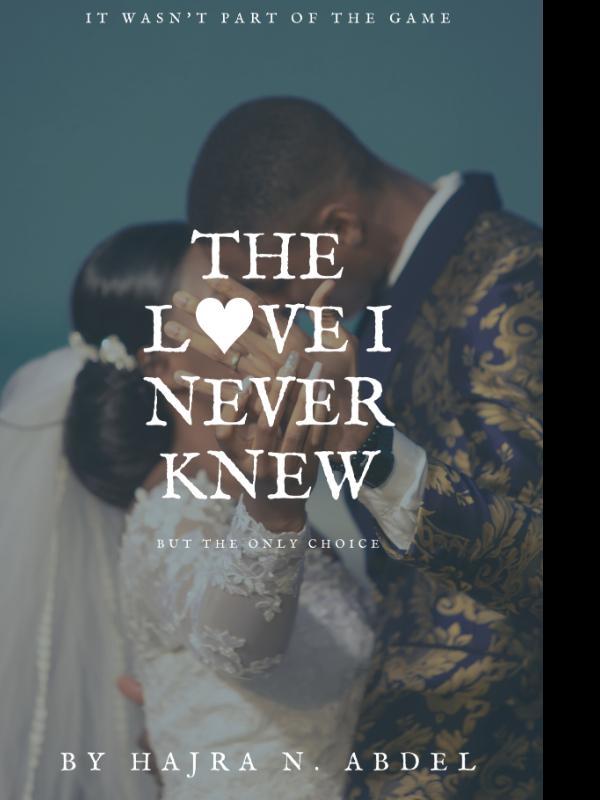 THE LOVE I NEVER KNEW