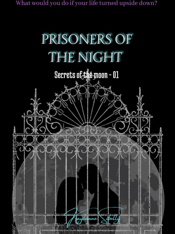 Prisoners of the night Book