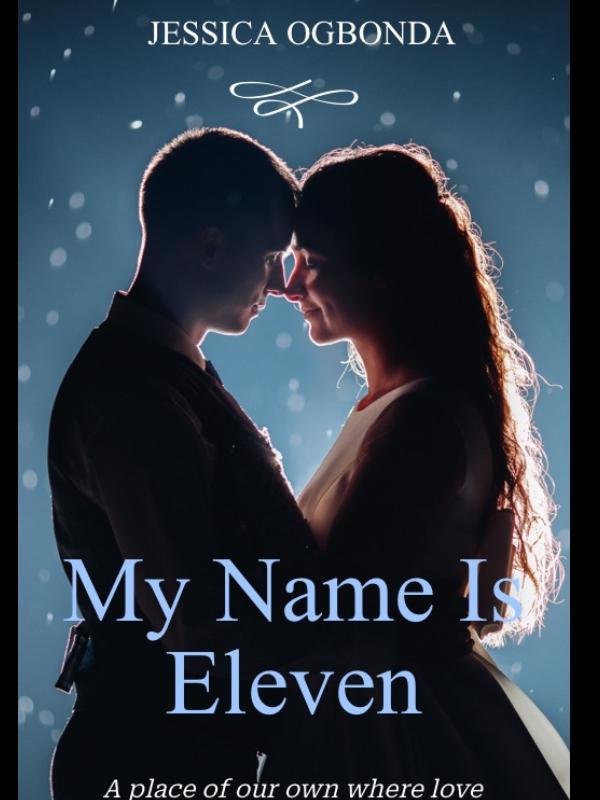 My Name Is Eleven Book