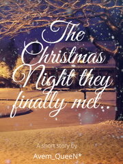 The Christmas night they finally met. Book