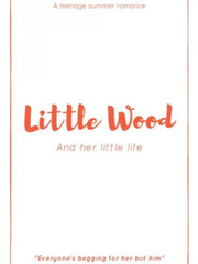 Little Wood *A Summer Romance* Book