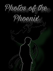 Photos of the Phoenix (DM romance) Book