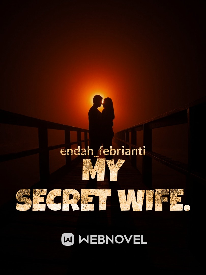 MY SECRET WIFE. Book