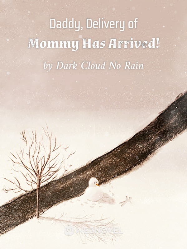 novel cover