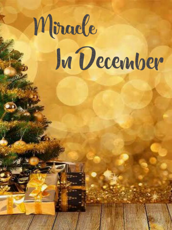 Miracle In December Book