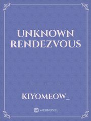 Unknown Rendezvous Book