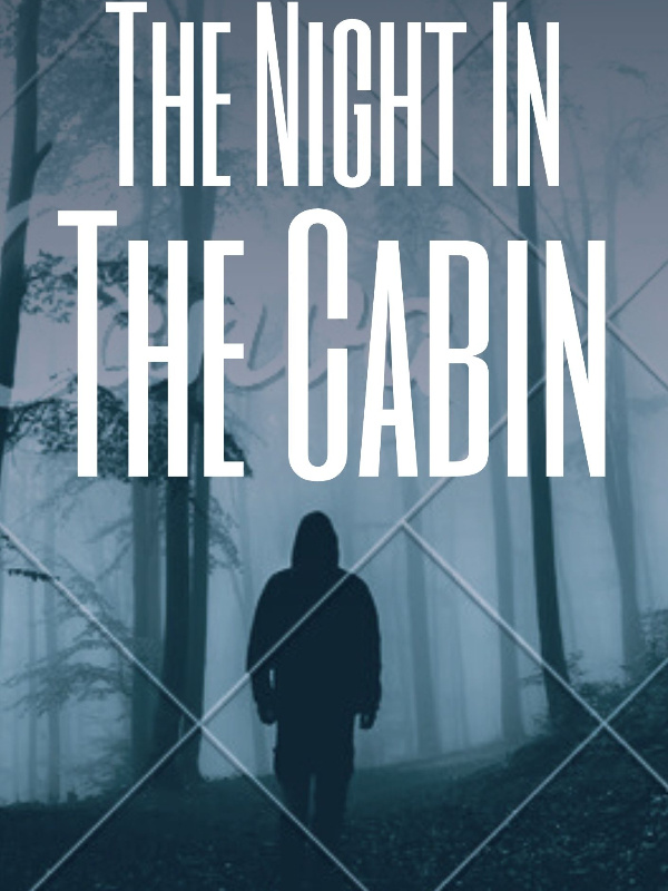 The Night In The Cabin Book