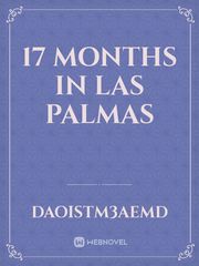 17 Months In Las Palmas Book