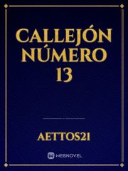 Callejón Número 13 Book