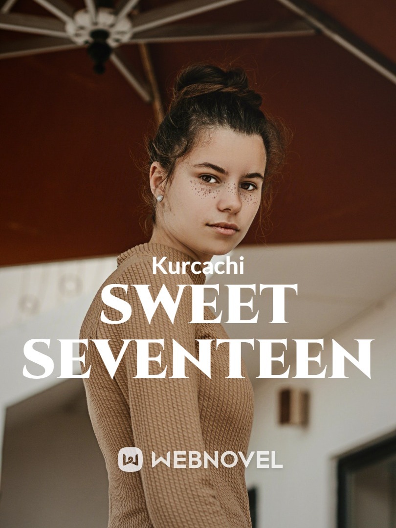 Sweet Seventeen Book