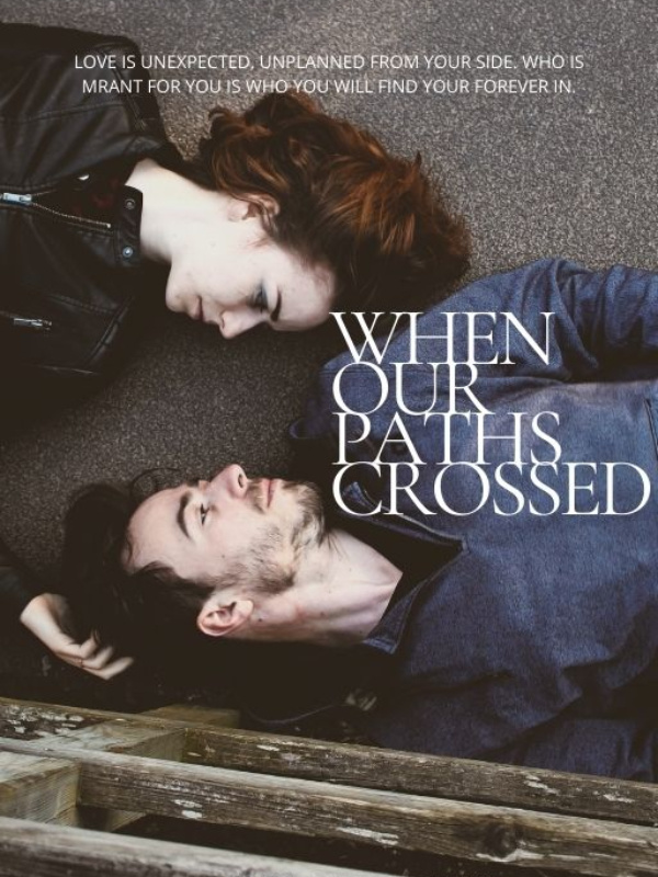 When our Paths crossed Book
