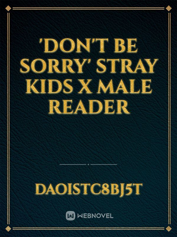 'Don't Be Sorry'
Stray Kids X Male Reader