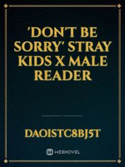 'Don't Be Sorry'
Stray Kids X Male Reader Book