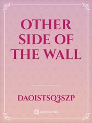 Other Side of The Wall Book