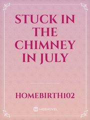 Stuck in the Chimney in July Book