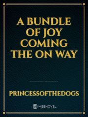 A bundle of joy coming the on way Book