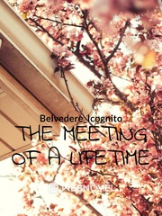 The meeting of a lifetime Book