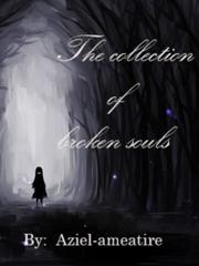 the collection of broken souls Book