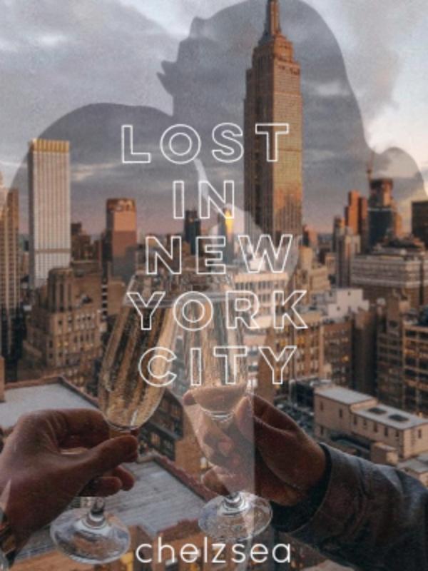 Lost in New York City Book