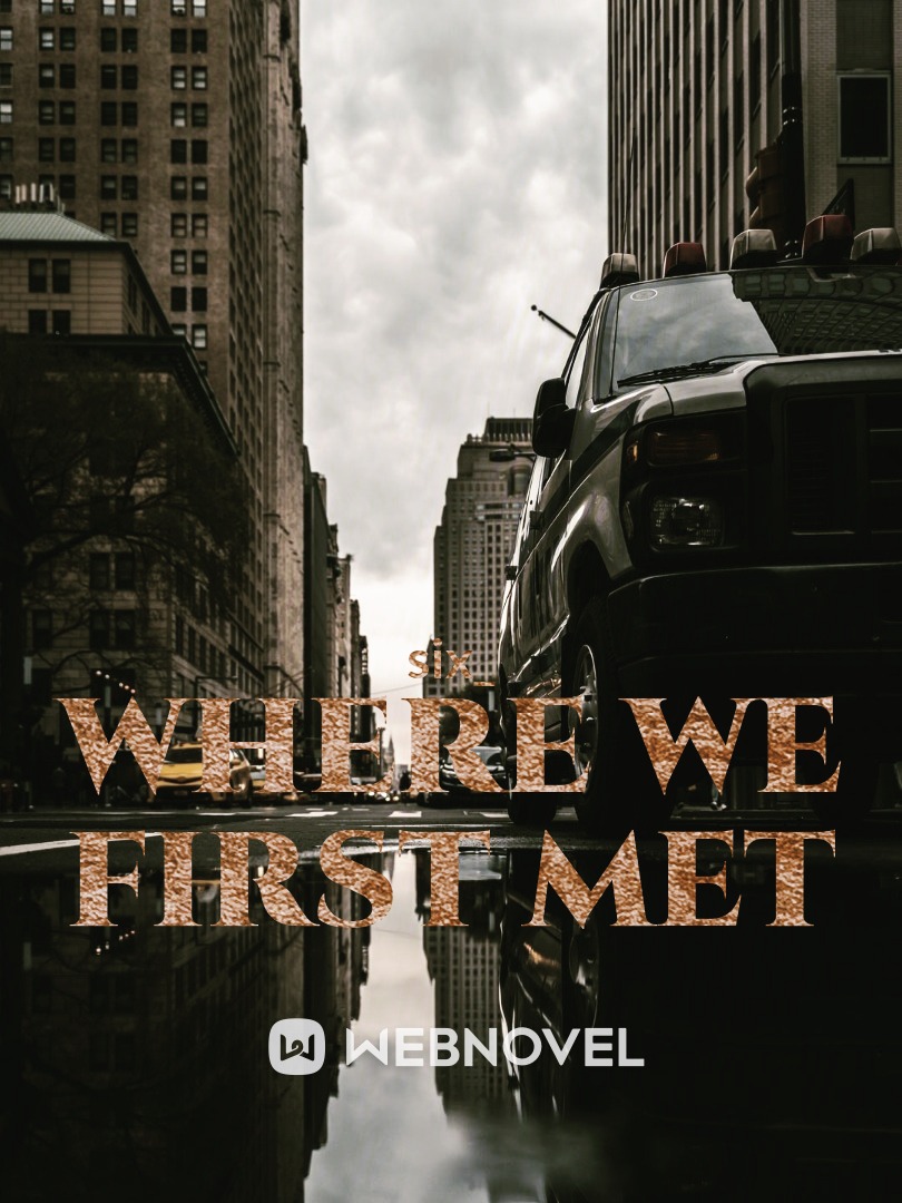 where we first met Book