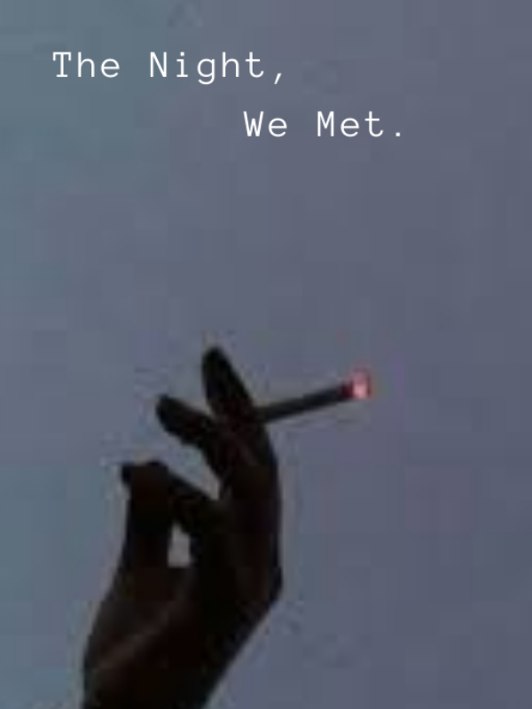 The Night, We Met
