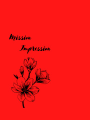 Mission Impression Book