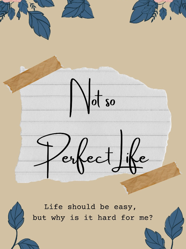 Not So Perfect Life Book