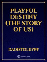 Playful Destiny (the story of us) Book