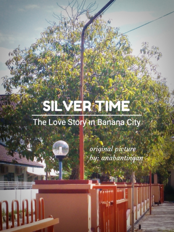 SILVER TIME Book