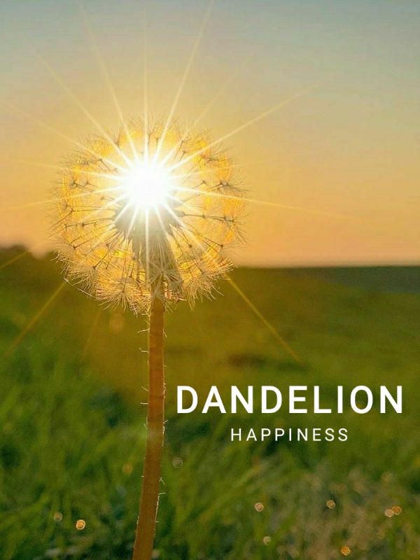 DANDELION HAPPINESS