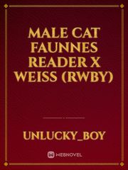male Cat Faunnes reader x Weiss (RWBY) Book