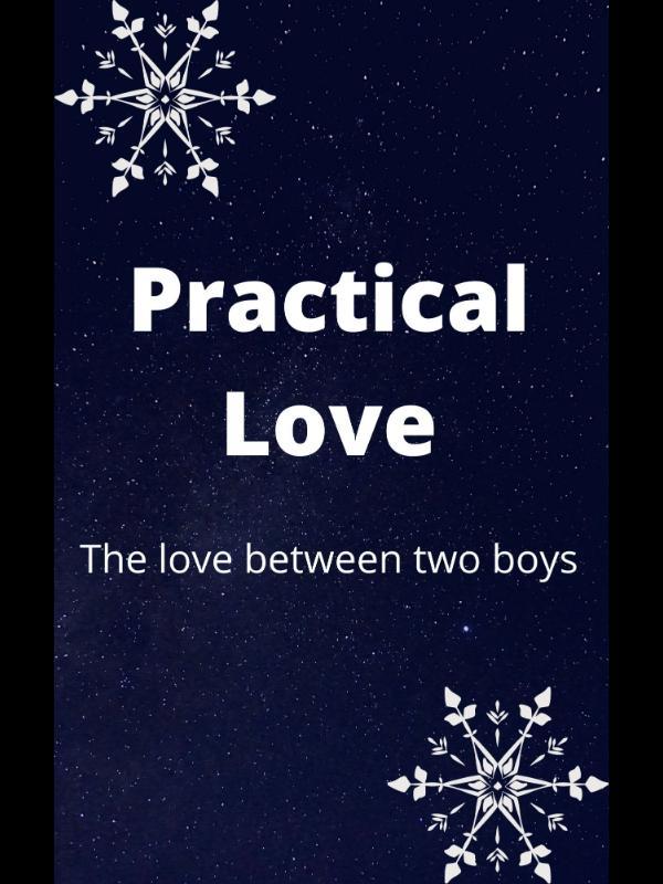 Practical Love Book