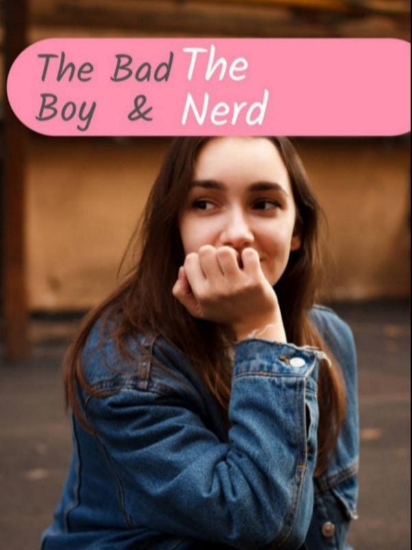 The Bad boy and the Nerd Book