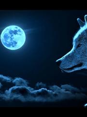 Rise of The Blue Moon Wolf Book