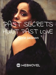 Past Secrets Hunt Past Love Book