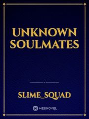 Unknown Soulmates Book