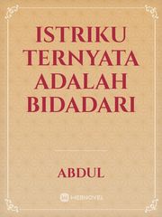 ISTRIKU TERNYATA ADALAH BIDADARI Book