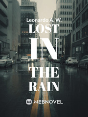 Lost In The Rain Book