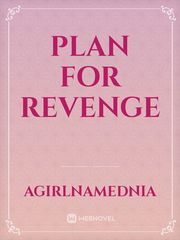 Plan for revenge Book