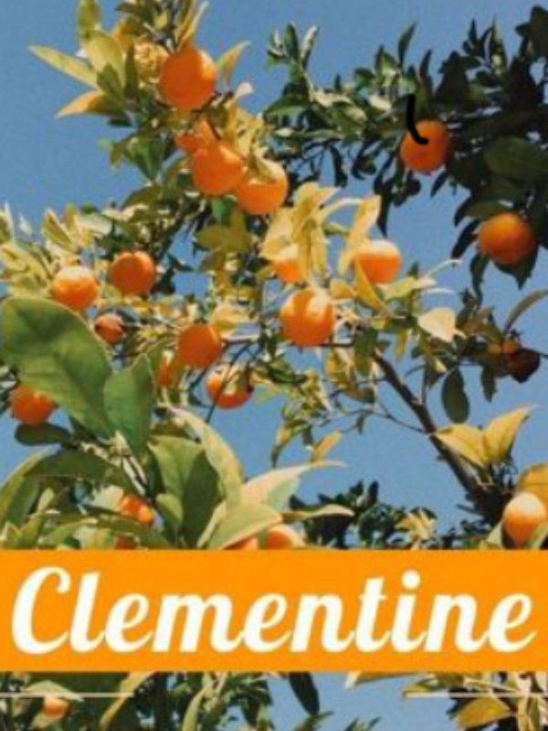 Clementine: Menage Book