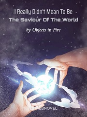 I Really Didn't Mean To Be The Saviour Of The World Book