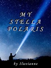 My Stella Polaris Book